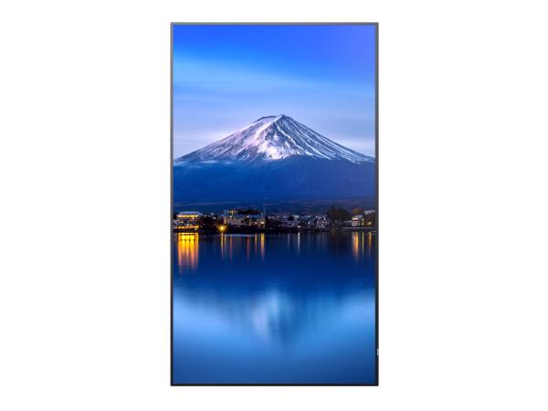43" LED SHARP P436, 3840x2160, 24/ 7, 700cd 