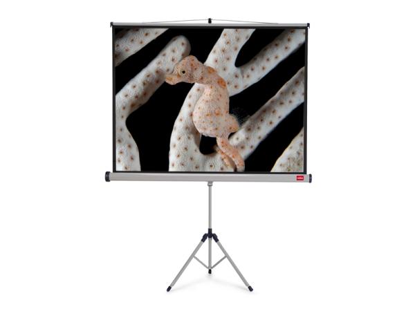 NOBO Tripod plátno š200 x v151 -matný biely, 4:3