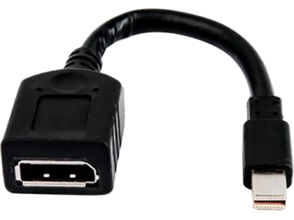 HP (Bulk 12) miniDP-to-DP Adapter Cables