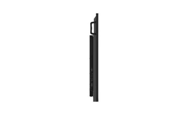 65" iiyama TN6505A-B1AG: IPS, 4K, no Android 