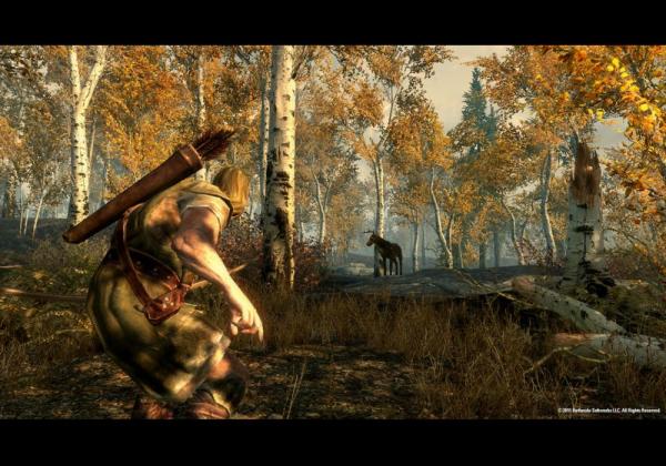 ESD The Elder Scrolls V Skyrim 