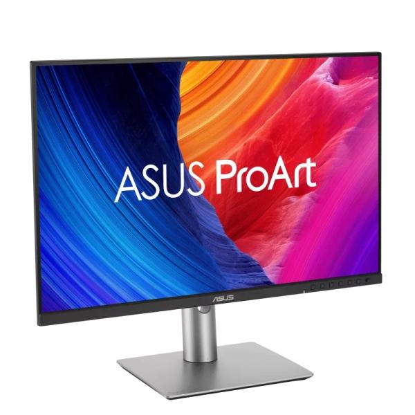 24" LCD ASUS PA248QFV 