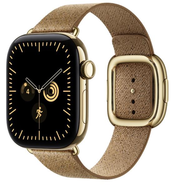 Watch Acc/ 42/ Camel Modern Buckle - L 