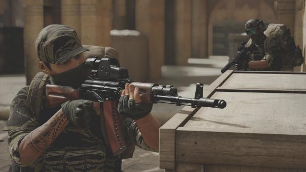 ESD Insurgency Sandstorm 