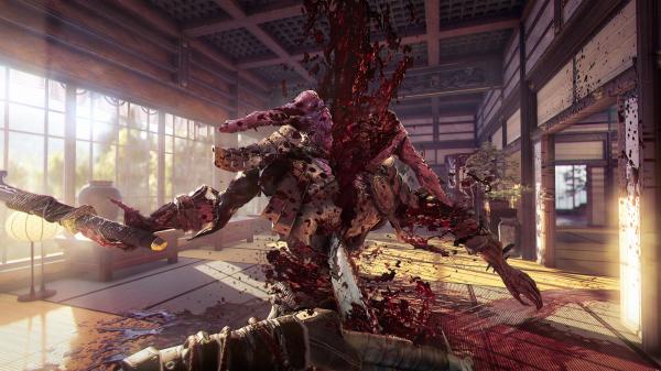 ESD Shadow Warrior 2 