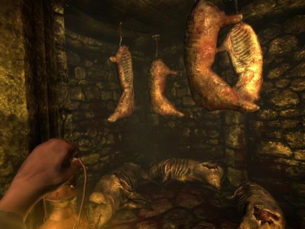 ESD Amnesia Collection 