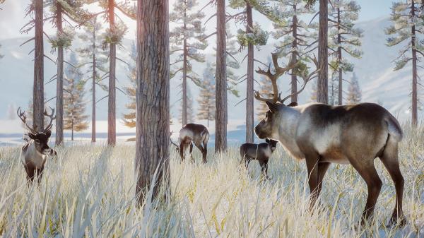 ESD Planet Zoo Arctic Pack 