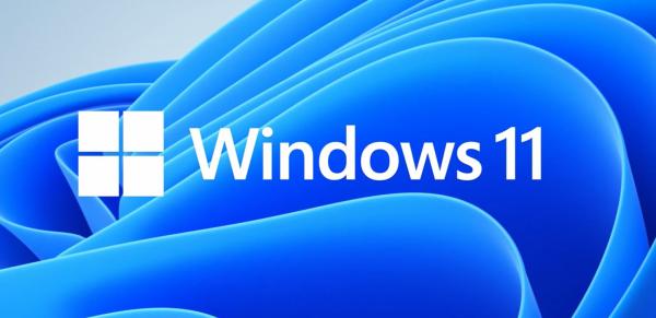 MS Win 11 Pre 64-bit Hungarian 1pk OEM DVD 