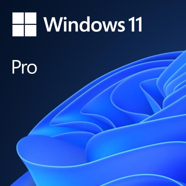 MS Win 11 Pro GGK 64-bit CZ 1pk OEM DVD leg