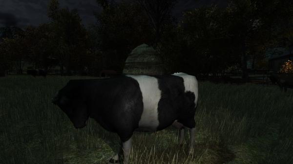 ESD The Cows Are Watching 