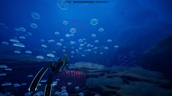 ESD Beyond Blue 