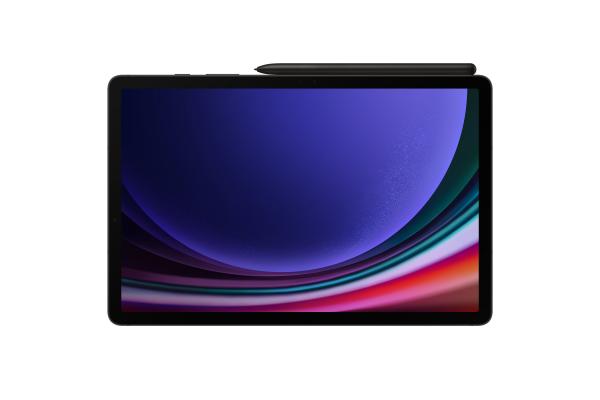 Samsung Galaxy Tab S9, 11", 12GB/256GB, 5G, šedá 