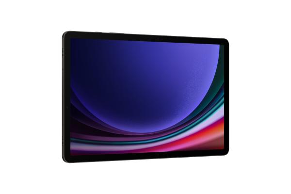 Samsung Galaxy Tab S9, 11", 12GB/256GB, 5G, šedá 