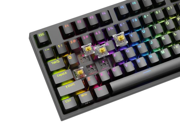 Genesis herní mechanická klávesnice THOR 404/ RGB/ Gateron Yellow Pro/ Drátová USB/ US layout/ Černá 