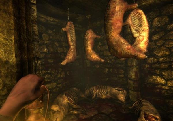 ESD Amnesia The Dark Descent (Pád do temnoty) 