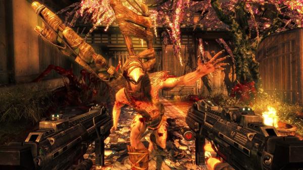 ESD Shadow Warrior 