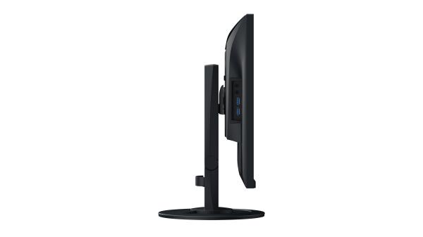 24" LED EIZO EV2410R-IPS, WUXGA, DVI, 10bit 