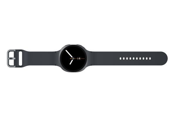 Samsung Galaxy Watch 8 44mm Šport Band Black 