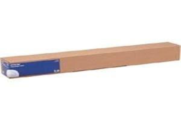 WaterResistant Matte Canvas Roll, 17"x12, 2m