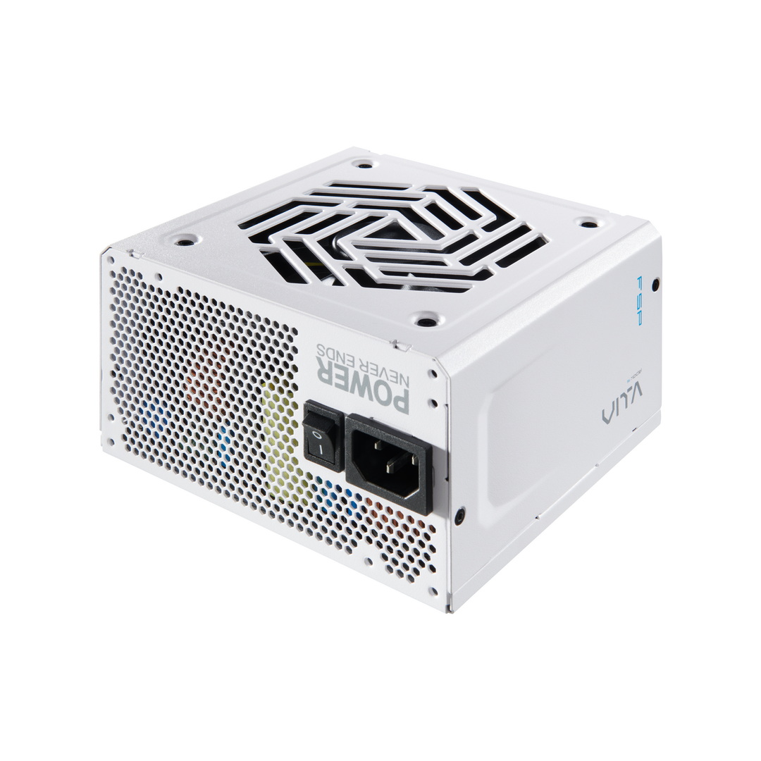 FSP VITA PM/ 850W/ ATX 3.1/ 80PLUS Platinum/ Modular/ Retail 