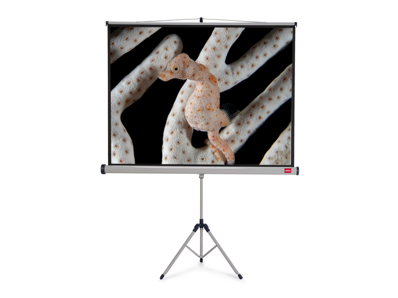 NOBO Tripod plátno š175 x v132 -matný biely, 4:3