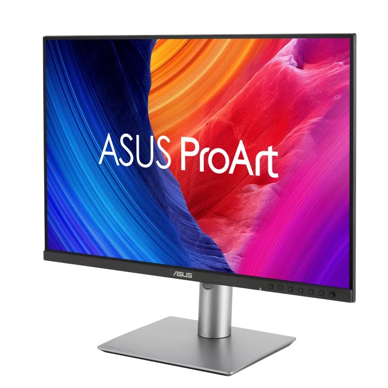 24" LCD ASUS PA248QFV 