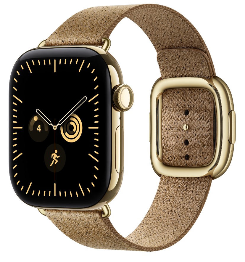 Watch Acc/ 42/ Camel Modern Buckle - L 