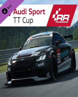 ESD RaceRoom Audi Sport TT Cup 2015