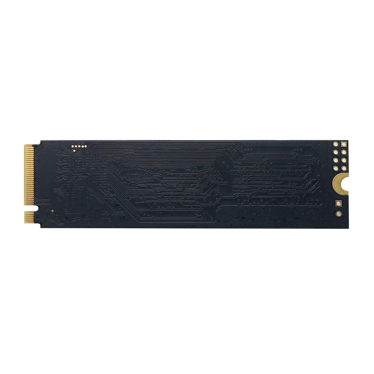 PATRIOT P300/ 1TB/ SSD/ M.2 NVMe/ 5R 