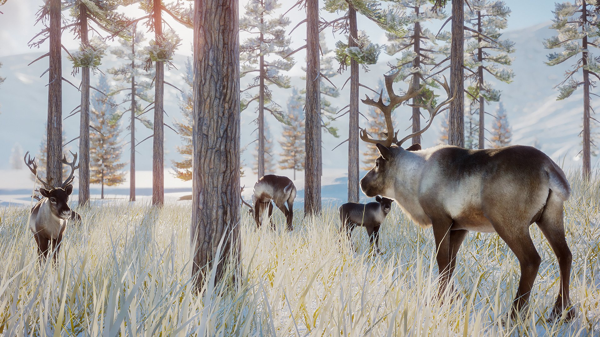 ESD Planet Zoo Arctic Pack 