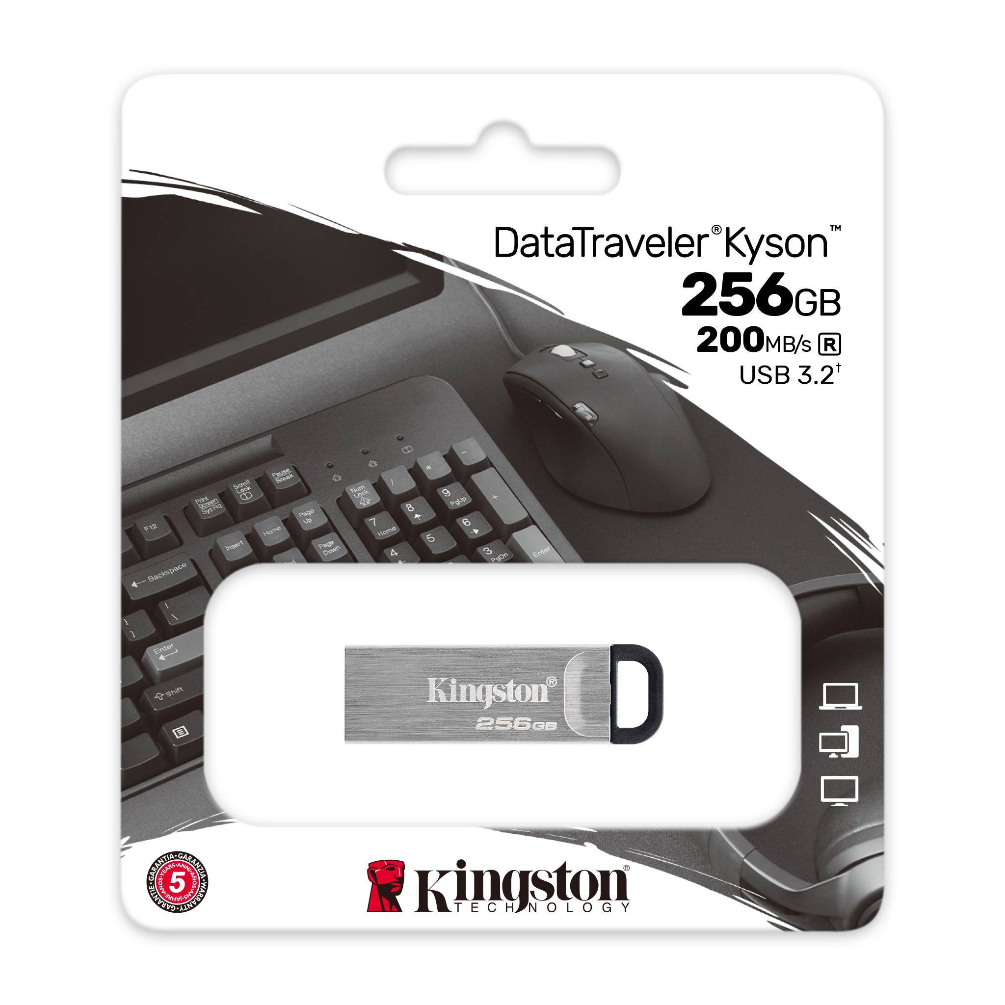 Kingston DataTraveler Kyson/ 256GB/ USB 3.2/ USB-A/ Strieborná 
