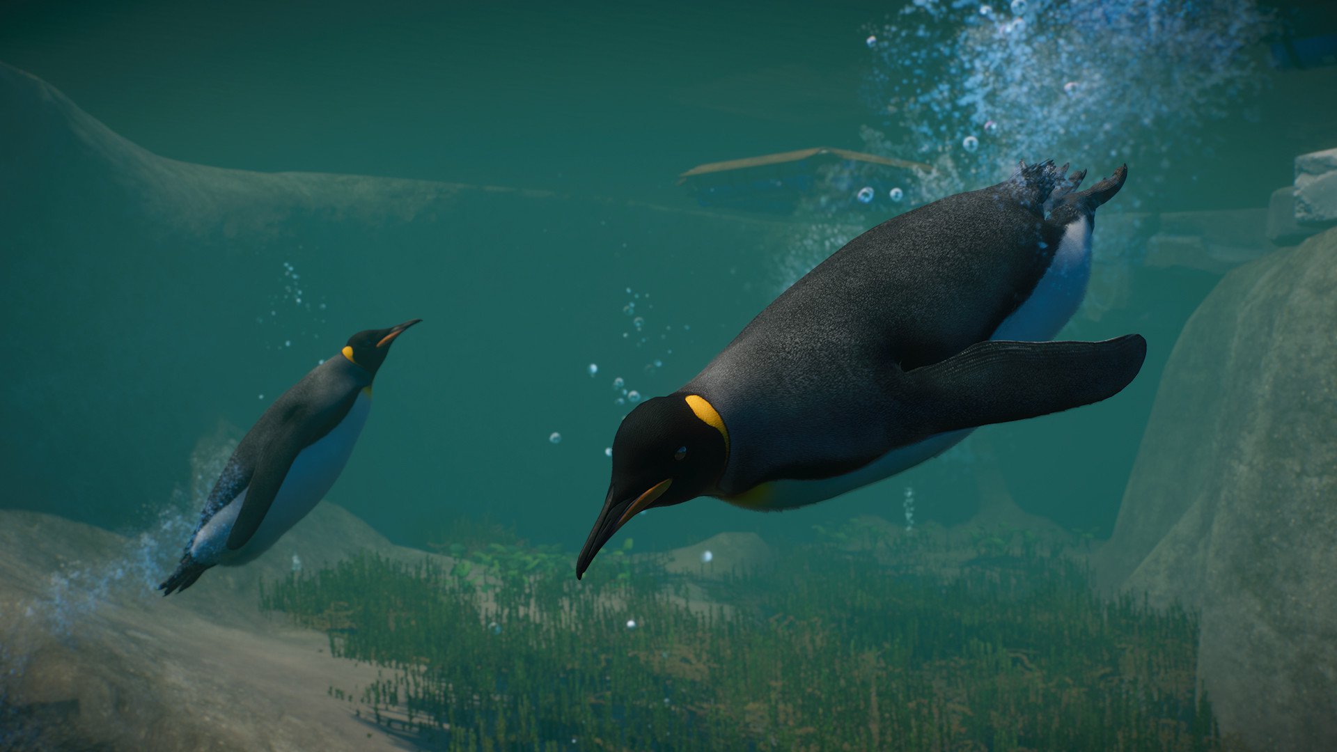 ESD Planet Zoo Aquatic Pack 