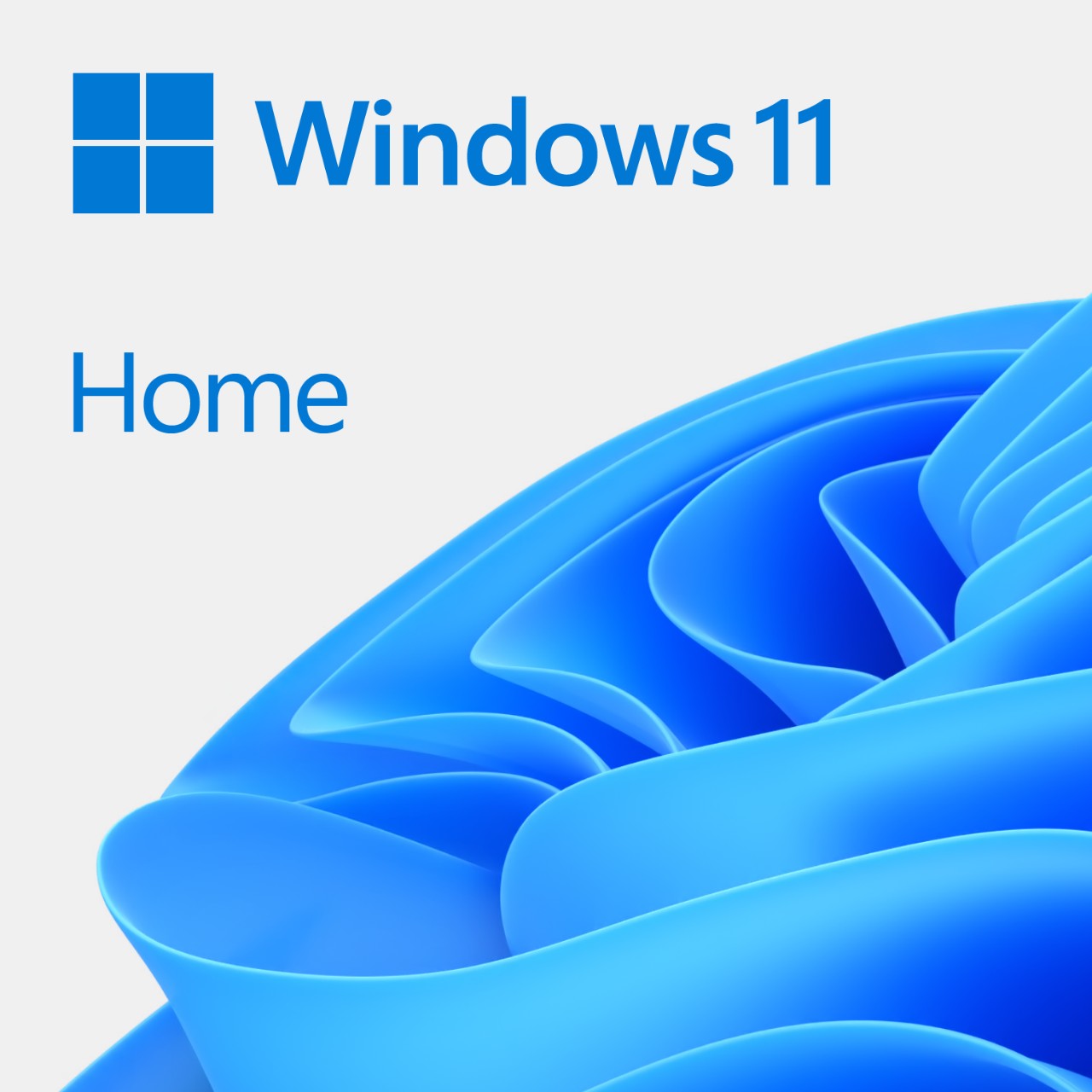 MS Win 11 Home 64-Bit German 1pk OEM DVD