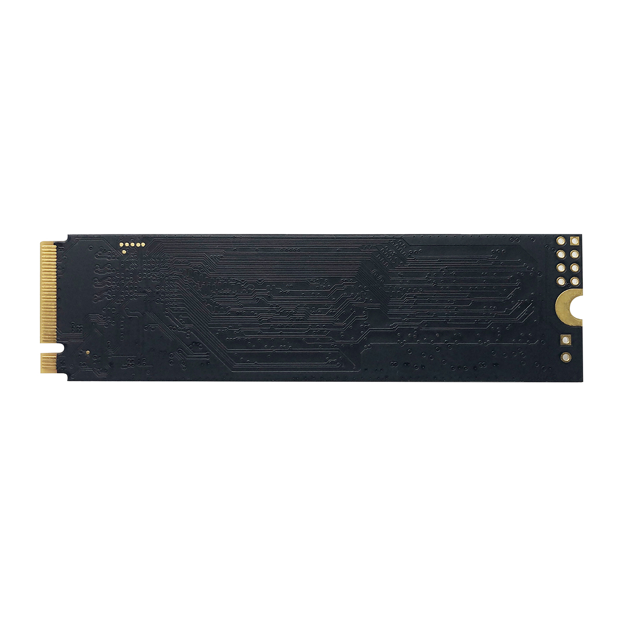 PATRIOT P310/ 240GB/ SSD/ M.2 NVMe/ 3R 