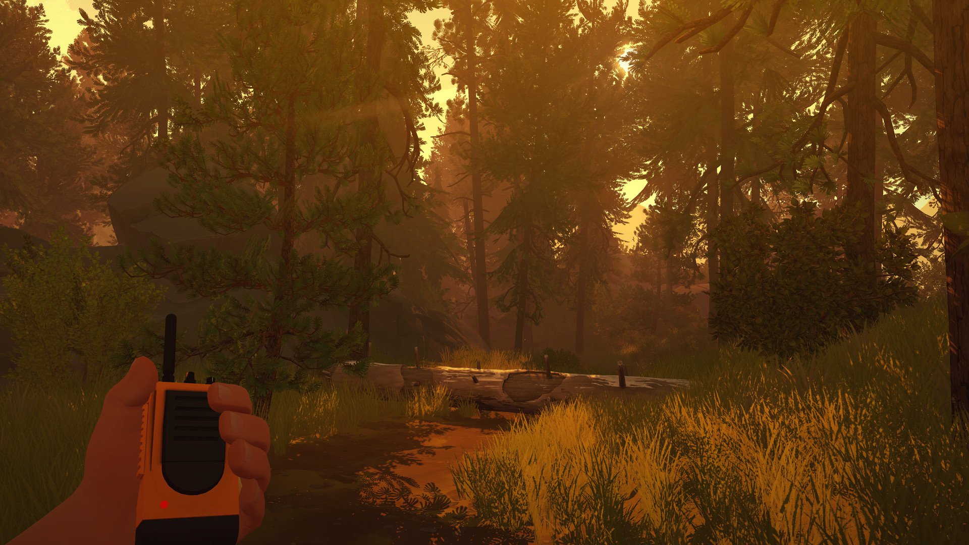 ESD Firewatch 