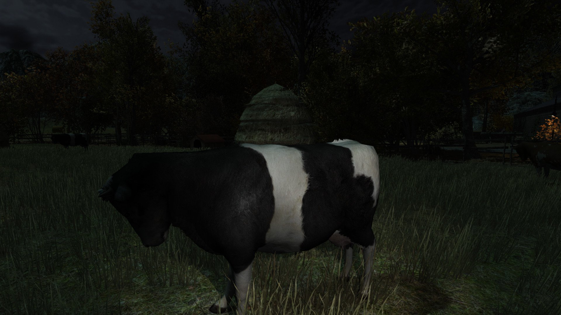 ESD The Cows Are Watching 