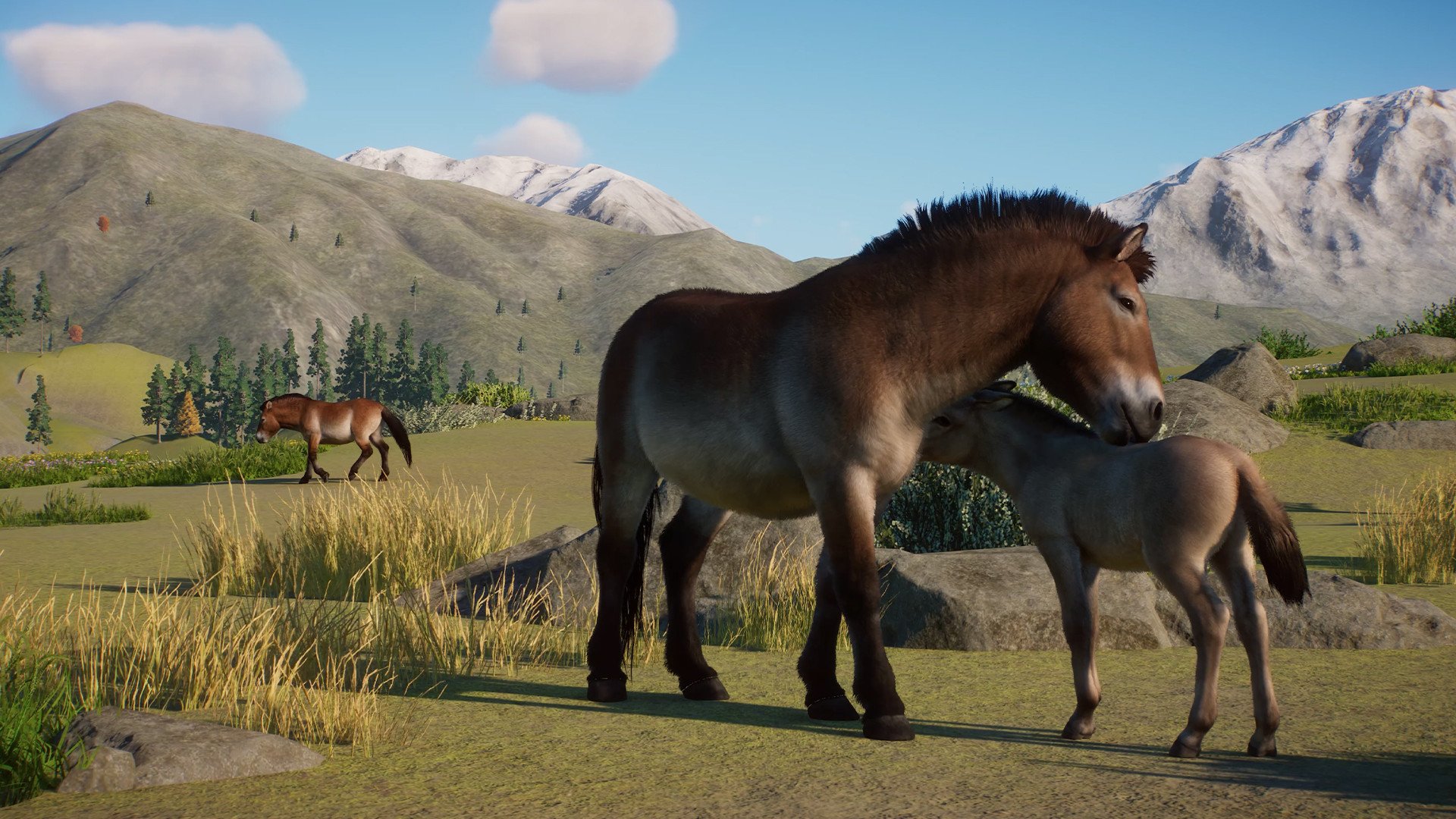 ESD Planet Zoo Conservation Pack 