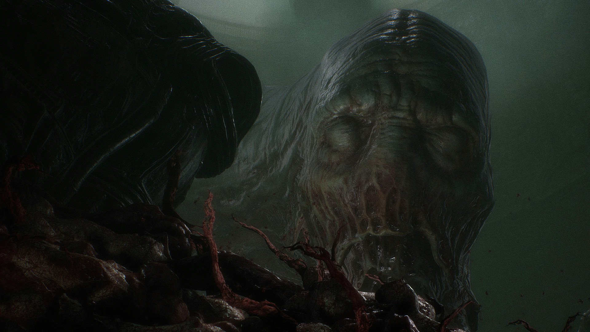 ESD Scorn 
