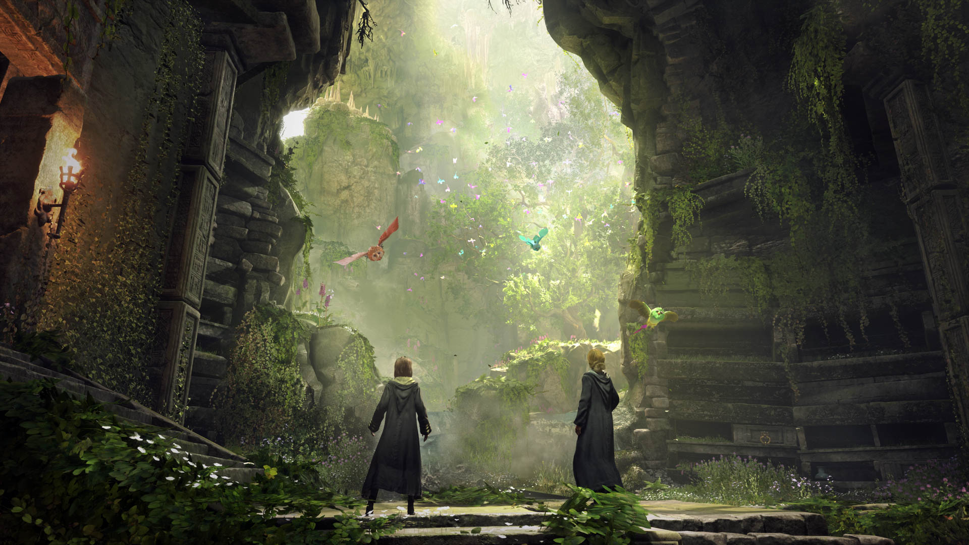 PS5 - Hogwarts Legacy 