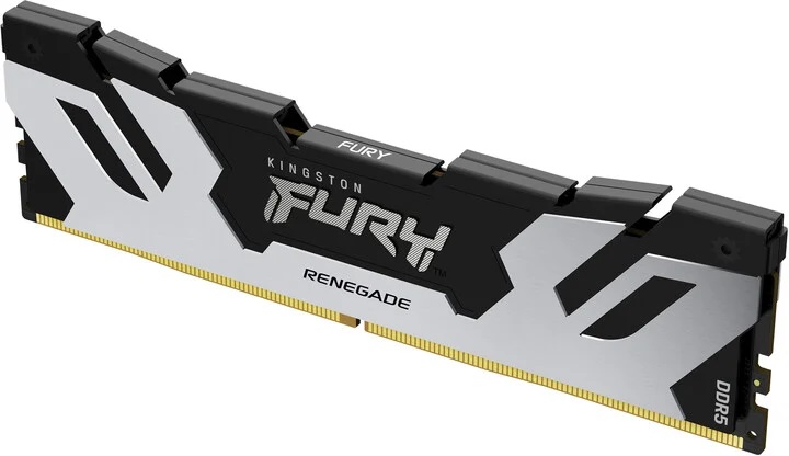 Kingston FURY Renegade/ DDR5/ 48GB/ 6400MHz/ CL32/ 1x48GB/ Black/ Silv 