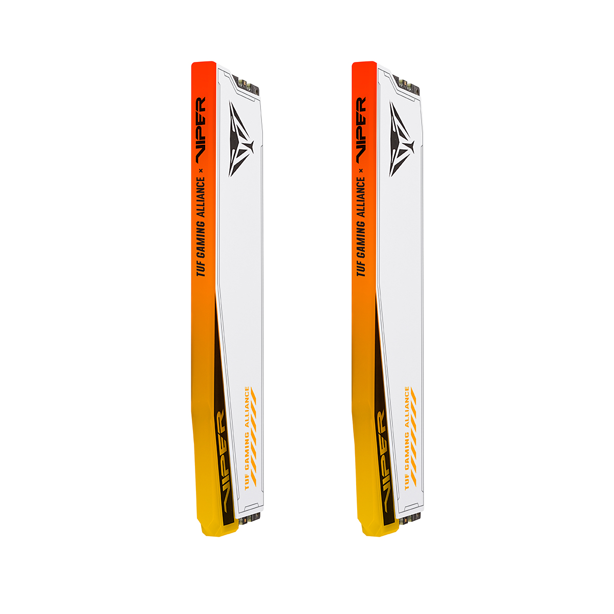 Patriot Viper Elite 5 TUF/ DDR5/ 32GB/ 6000MHz/ CL36/ 2x16GB/ RGB/ White 