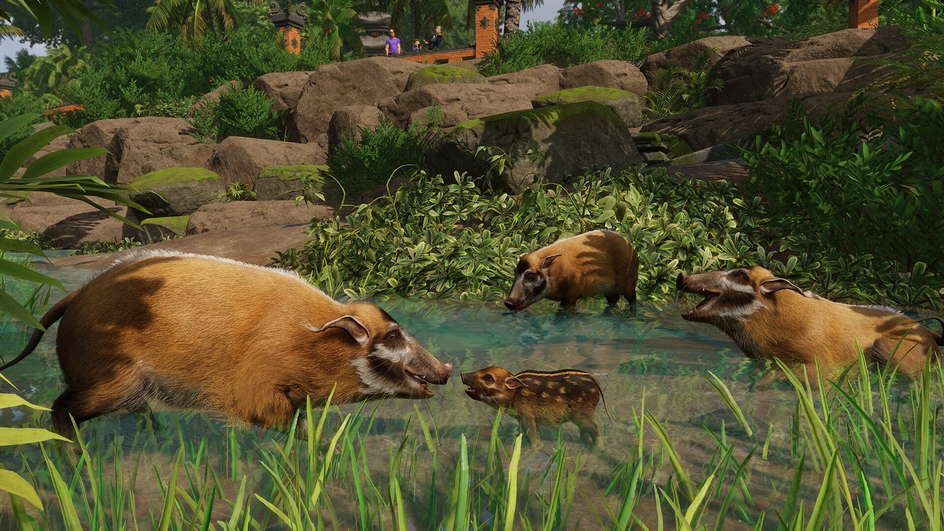 ESD Planet Zoo Tropical Pack 