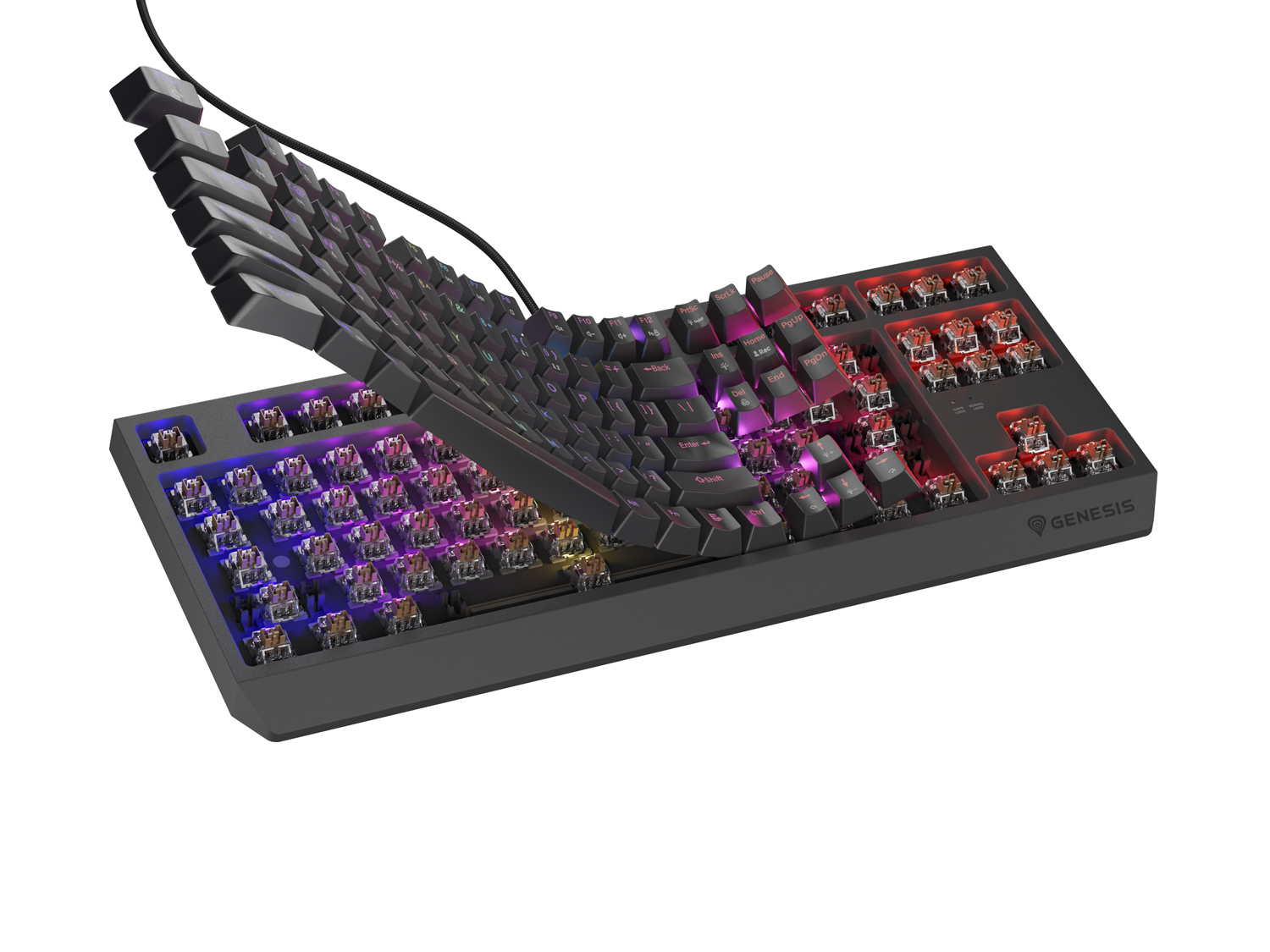 Genesis herní klávesnice THOR 230/ TKL/ RGB/ Outemu Brown/ Drátová USB/ US layout/ Černá 