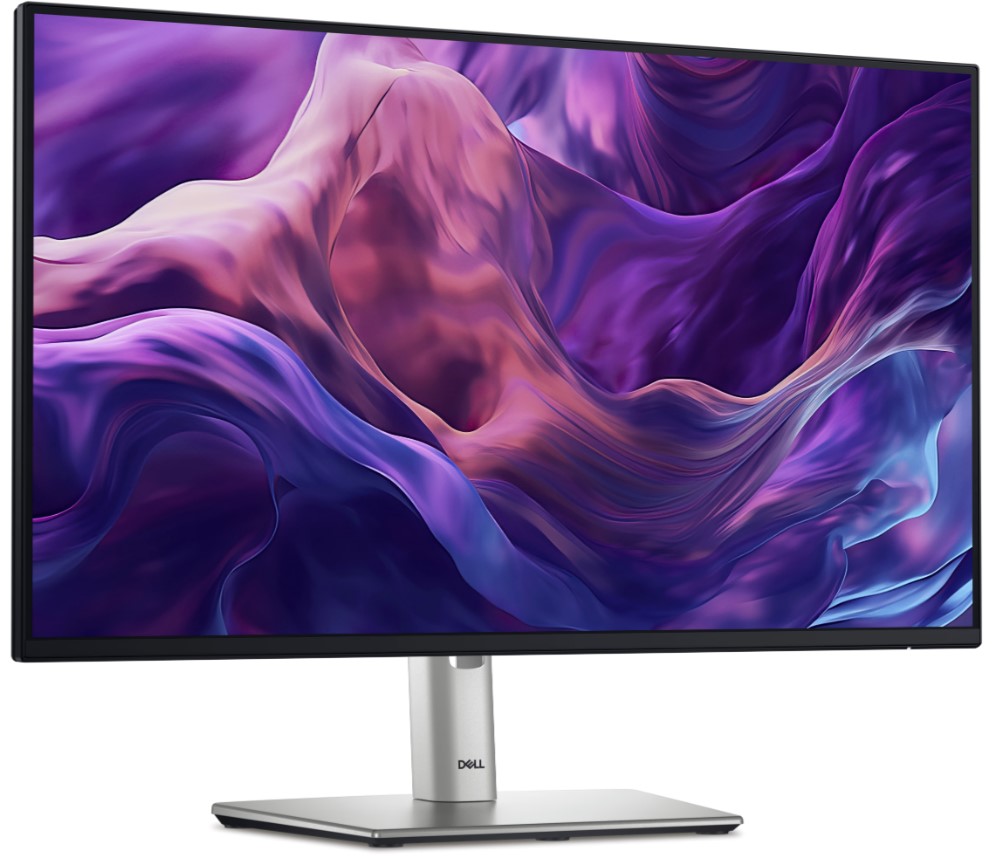 Dell/ P2425H/ 23, 80