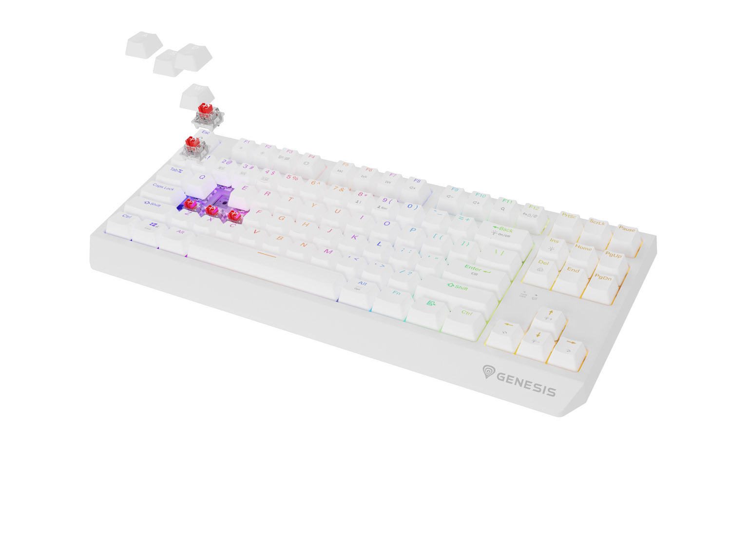 GENESIS herní klávesnice THOR 230/ TKL/ RGB/ Outemu Red/ Bezdrátová USB + Bluetooth/ US layout/ Bílá 