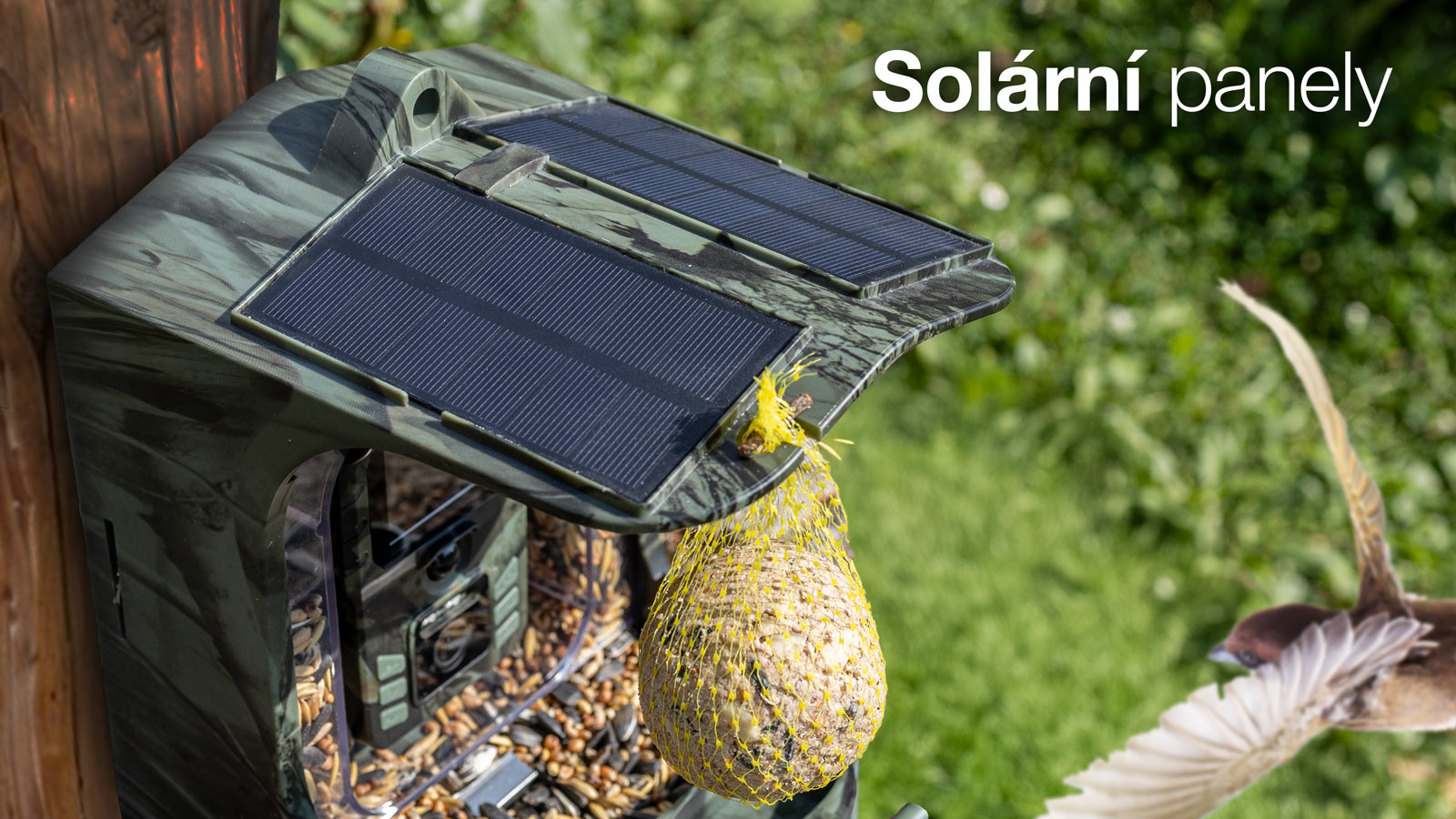 EVOLVEO StrongVision BirdFeeder - Chytré krmítko pre vtáky s kamerou a solárnym panelom 