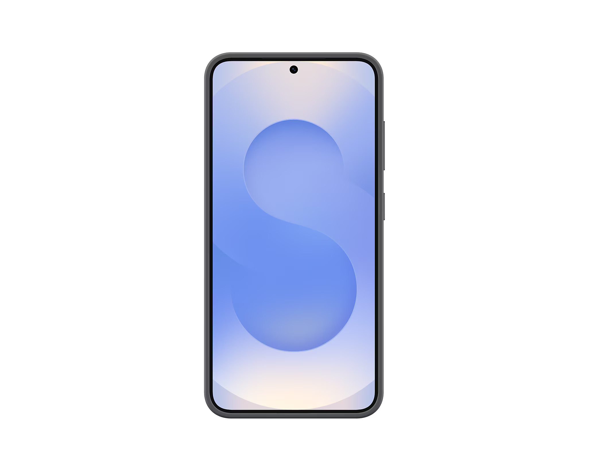 Samsung Silikónový zadný kryt pre Galaxy S25 Black 