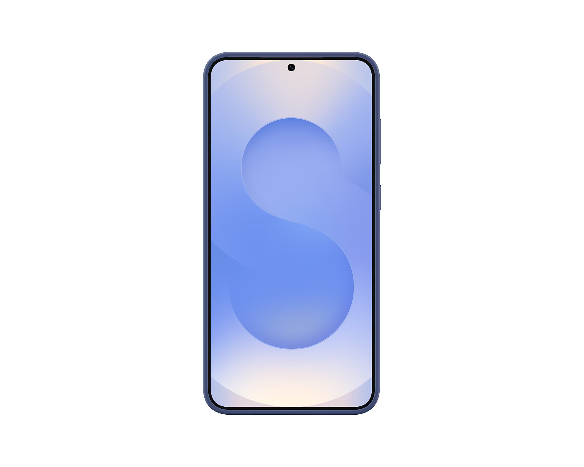 Samsung Silikónový zadný kryt pre Galaxy S25+ Blue 