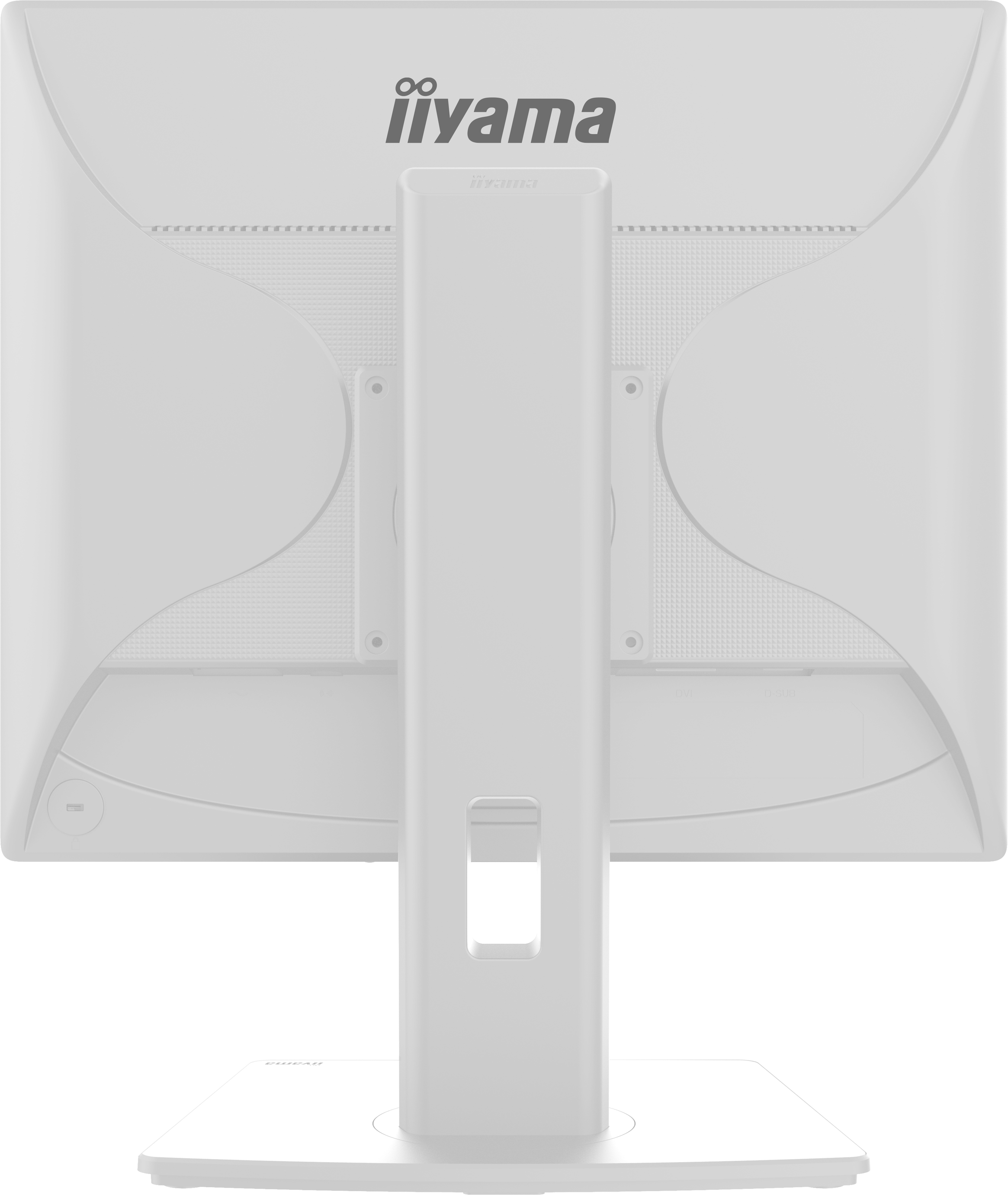 19" LCD iiyama ProLite B1980S-W1:1280x1024, HDMI, DP 