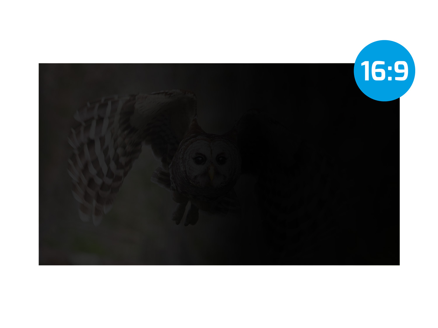 Privátny filter Natec Owl 15, 6" 16:9 